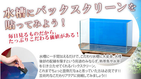 【アクアリウム】俺氏、水槽に貼るバックスクリーンのサイズを間違え無事死亡