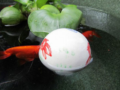 【金魚】・・・陶器の浮き玉で遊ぶ？それとも邪魔なだけ！？