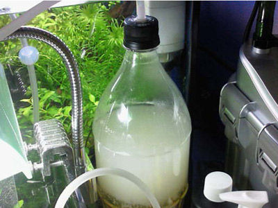 【発酵式CO2】発酵式CO2・・・ボトルを振ると出る！圧が足りないのかな？？