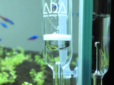 【アクアリウム】アクアリウム・・・漂白後のCO2ディフューズの中の水を抜く装置を発明！！