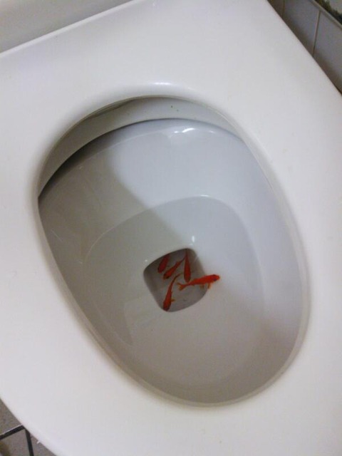 熱帯魚が死んだんだけどトイレに流していい？