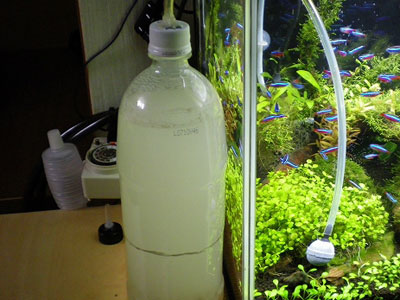 【アクアリウム】発酵式のCO2ボトルを倒して発酵液をミナミ水槽に･･･