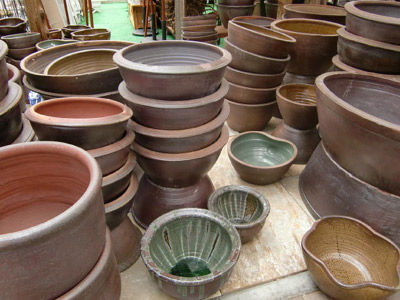 【メダカ】メダカ・・・今年から外飼いしようと思ってホムセンで睡蓮鉢見てきたけど陶器のは高いね…悩んだがプラスチックので妥協したｗｗｗ