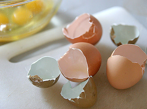 【アクアリウム】卵の殻をろ材に使おうと思うんだけどどう思う？
