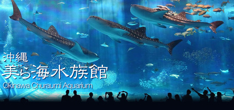 日本最大の水族館といえば