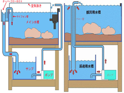 【多段連結水槽】多段連結水槽・・・連結水槽の方法でオススメありますか？