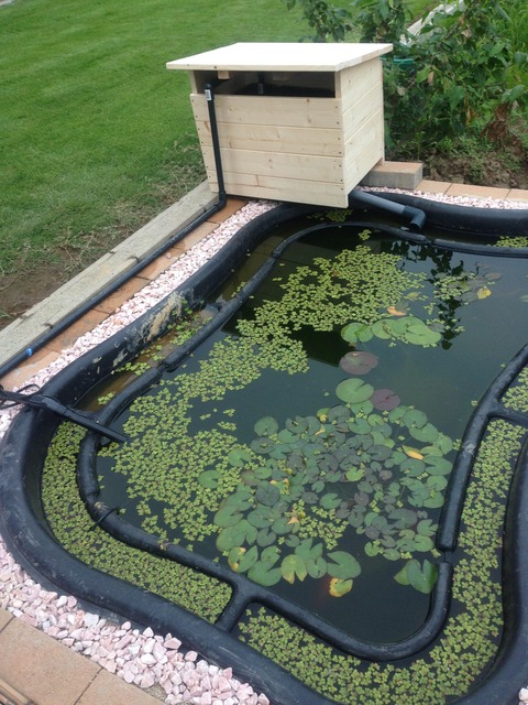 【ビオトープ】ビオトープ・・・去年の夏に作った庭の池UPしてみました！！